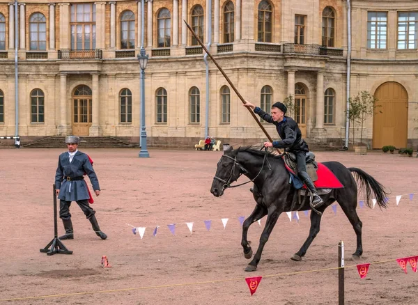 Gatchina, St. Petersburg, Rusya Federasyonu - 30 Eylül 2017: Sirk atı Kazaklar Gatchina Palace tören üzerinde İmparator Paul yıldönümü Rezervasyonun yapıldığı gün ben.
