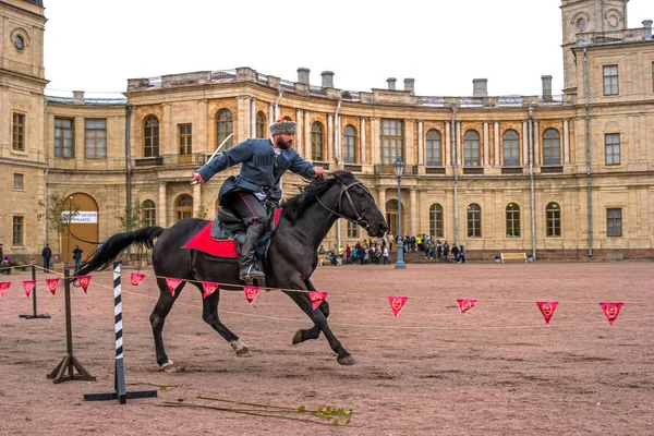 Gatchina, St. Petersburg, Rusya Federasyonu - 30 Eylül 2017: Sirk atı Kazaklar Gatchina Palace tören üzerinde İmparator Paul yıldönümü Rezervasyonun yapıldığı gün ben.