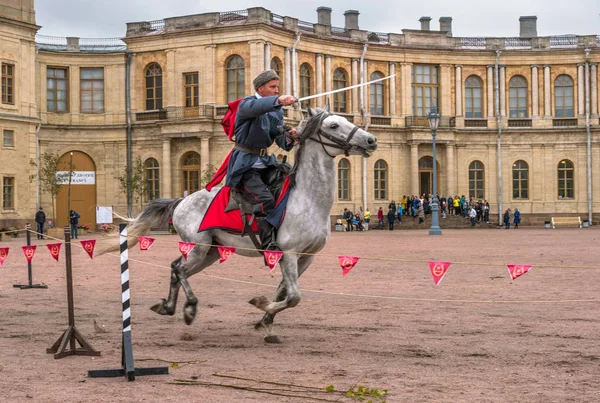 Gatchina, St. Petersburg, Rusya Federasyonu - 30 Eylül 2017: Sirk atı Kazaklar Gatchina Palace tören üzerinde İmparator Paul yıldönümü Rezervasyonun yapıldığı gün ben.