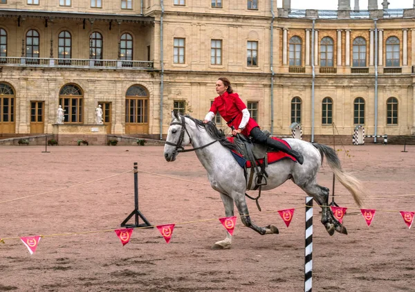 Gatchina, St. Petersburg, Rusya Federasyonu - 30 Eylül 2017: Sirk atı Kazaklar Gatchina Palace tören üzerinde İmparator Paul yıldönümü Rezervasyonun yapıldığı gün ben.