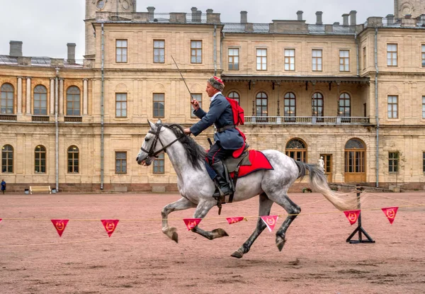 Gatchina, San Petersburgo, Rusia - 30 de septiembre de 2017: Espectáculo de caballos de cosacos en el desfile del Palacio de Gatchina el día del aniversario del emperador Pablo I . —  Fotos de Stock