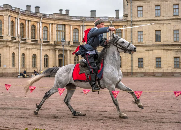 Gatchina, San Petersburgo, Rusia - 30 de septiembre de 2017: Espectáculo de caballos de cosacos en el desfile del Palacio de Gatchina el día del aniversario del emperador Pablo I . —  Fotos de Stock