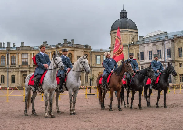 Gatchina, St. Petersburg, Rusya Federasyonu - 30 Eylül 2017: Sirk atı Kazaklar Gatchina Palace tören üzerinde İmparator Paul yıldönümü Rezervasyonun yapıldığı gün ben.