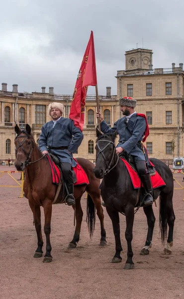 Gatchina, San Petersburgo, Rusia - 30 de septiembre de 2017: Espectáculo de caballos de cosacos en el desfile del Palacio de Gatchina el día del aniversario del emperador Pablo I . —  Fotos de Stock