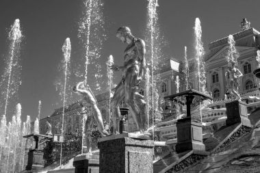 Büyük çağlayan. Birçok çeşmeler oluşur ve yaldızlı bronz heykeller ile süslüdür. Petergof, Rusya Federasyonu. Siyah ve beyaz fotoğraf.