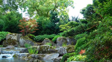Forest park alanındaki küçük dağ dere.