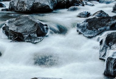 Buzlu dağ nehri kayaların ve ağaçların arasında akıyor.
