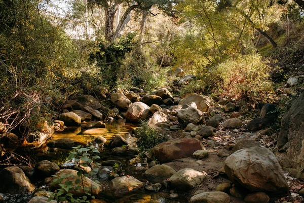 Larga exposición de arroyos corriendo en las montañas de California —  Fotos de Stock