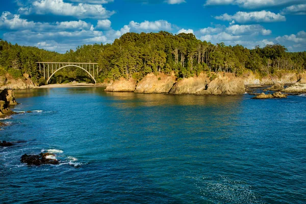 Köprü, uçurumlar ve Kızılağaç ormanı Mendocino, California