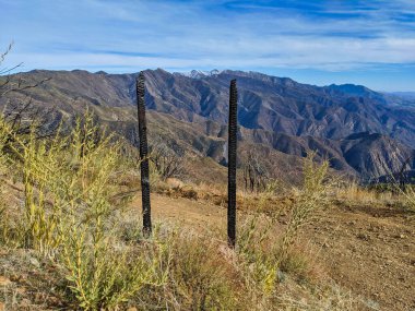 Ojai, California dağlarındaki orman yangınlarında yol işareti hasar gördü