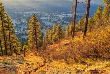 Looking down on Leavenworth, Washington from high in the mountains clipart