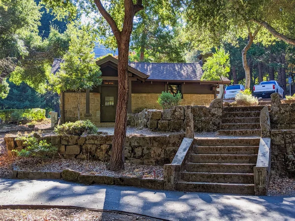 Morning Sunlight Filters Trees Sanborn Park Office — Stock Photo, Image