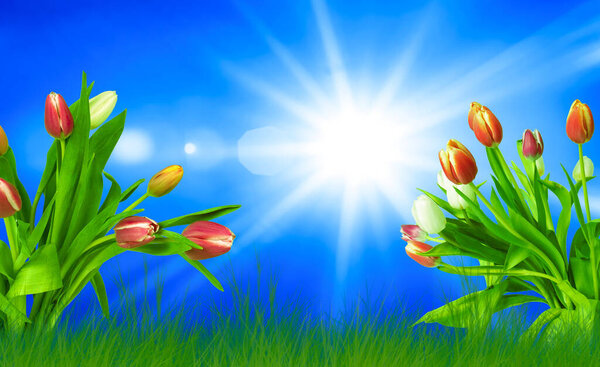 яркий весенний фон с тюльпанами и лучезарным солнцем
