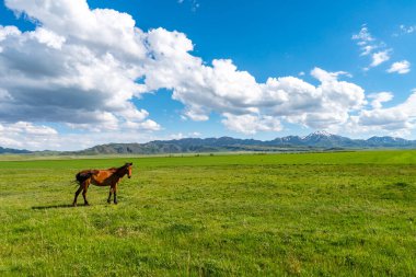 Karatal Nehri Vadisi 08