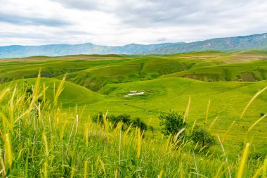 Baljuvon Peyzaj Görünümü 18