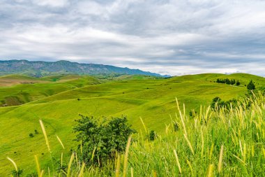 Baljuvon Manzarası Görünümü 20