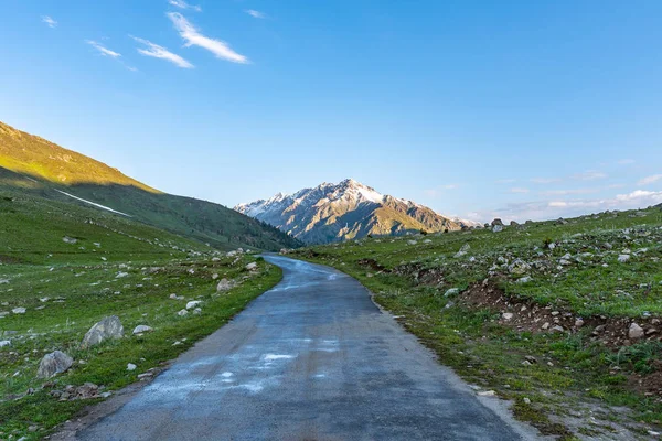 Park Narodowy Deosai Chilum 09 — Zdjęcie stockowe