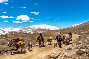 Deosai Ulusal Park Göçebeleri 55