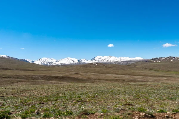 Deosai Nemzeti Park Tájkép 44 — Stock Fotó