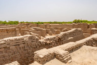 Larkana Mohenjo Daro Arkeoloji Bölgesi 72