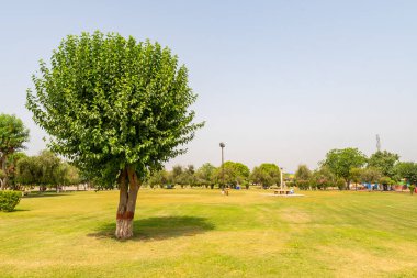 Multan Shah Shams Parkı 12