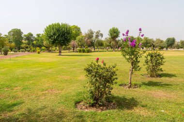 Multan Shah Shams Parkı 11