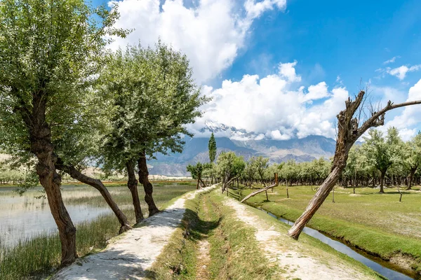 Desierto de Skardu Katpana 28 —  Fotos de Stock