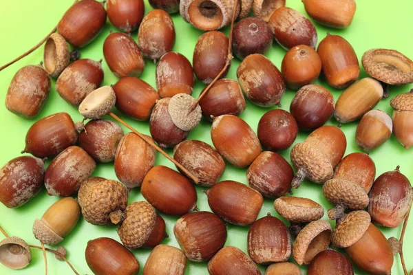 Bolotas estão localizados em um fundo verde — Fotografia de Stock