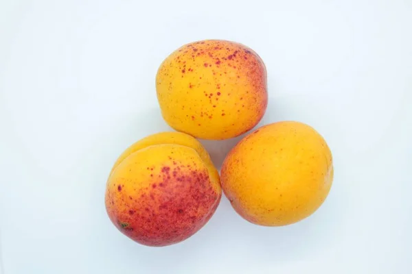 Tři meruňky umístěné na bílém pozadí — Stock fotografie