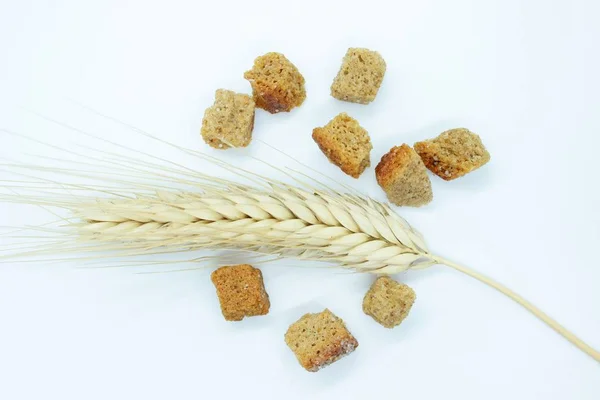 Rye crackers and rye spike located on a white background — Stock Photo, Image