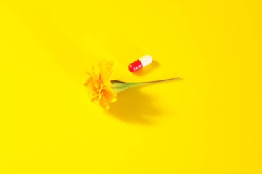 Sarı arka planda bulunan sarı çiçek