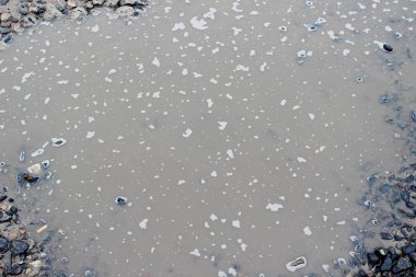 Su birikintisi, arka plan, çamur, kirli su, kirli taşlar