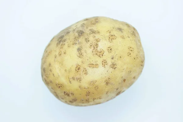 Aardappel knol gelegen op een witte achtergrond — Stockfoto