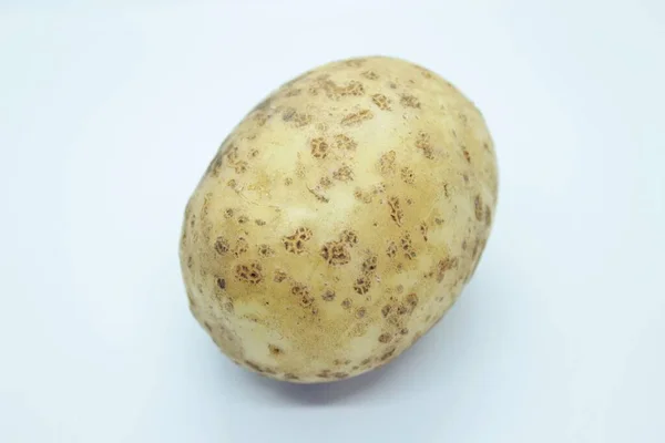 Tubercule de pomme de terre situé sur un fond blanc — Photo