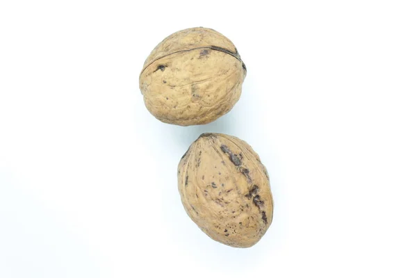 Ripe walnuts located on a white background — 스톡 사진