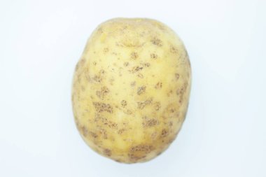 Potato tuber perched on a white background