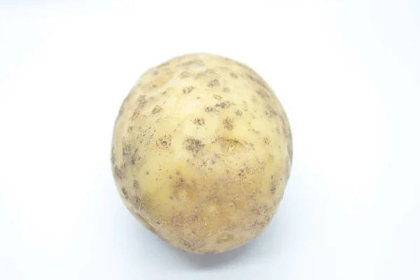 Tubero di patate appollaiato su fondo bianco — Foto Stock