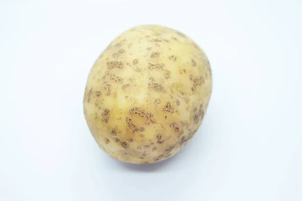 Tubero di patate appollaiato su fondo bianco — Foto Stock