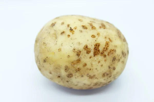 Unpeeled potatoes perched on a white background — Stock Photo, Image