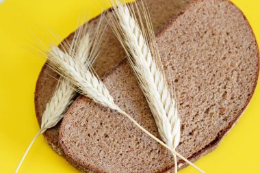 Çavdar ambarı ve çavdarın gözleri sarı arka planda yer alır.