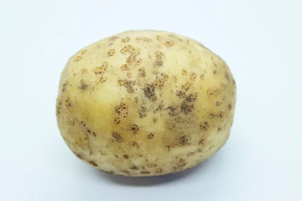 Rauwe Mooie Aardappel Gelegen Een Witte Achtergrond — Stockfoto