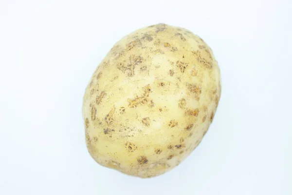 Raw Beautiful Potato Located White Background — Stock Photo, Image