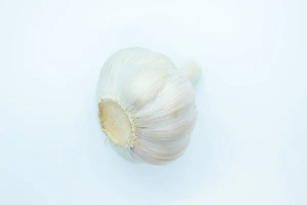Head Garlic Located White Background — Stock Photo, Image