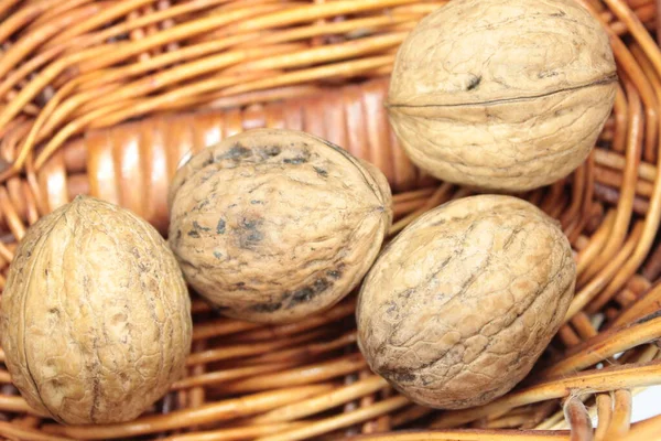 Hasır sepetin içindeki olgun cevizler beyaz arka plana yerleştirilir.