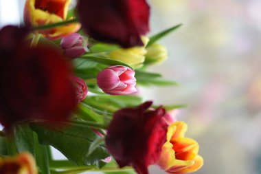 Çiçek buketi laleler ve güller