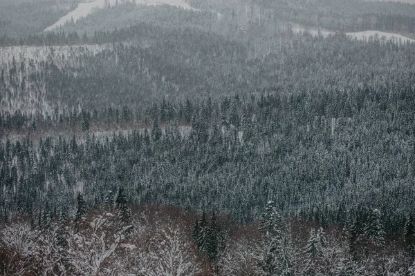 Kilátás Hegyekre Fagyos Erdőkre Téli Szezonban — Stock Fotó