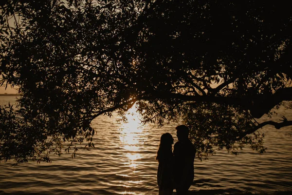 Beau Couple Heureux Câlin Près Lac Photo Silhouette Romantique Coucher — Photo