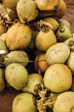 Portakallı hindistan cevizi yığını. Yakın plan. Meyve ve sebze pazarı. Tropikal yiyecekler