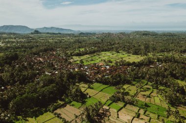 Bali adasındaki yeşil pirinç tarlaları, Jatiluwih, Ubud, Endonezya yakınları, Asya Havacılık manzarası