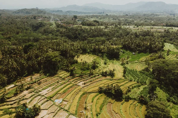 Bali Rice Fields Bali Conhecida Por Seus Belos Dramáticos Terraços — Fotografia de Stock